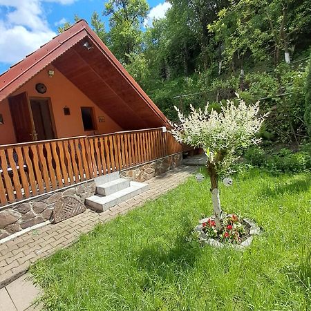 Apartamento Casa Adimi Sighişoara Exterior foto